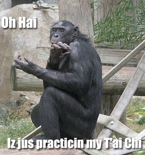 Tai Chi Monkey