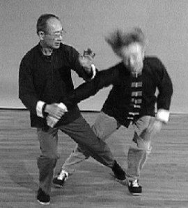 Tai Chi Martial Art