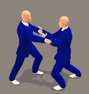 tui shou Tai Chi Self Defence